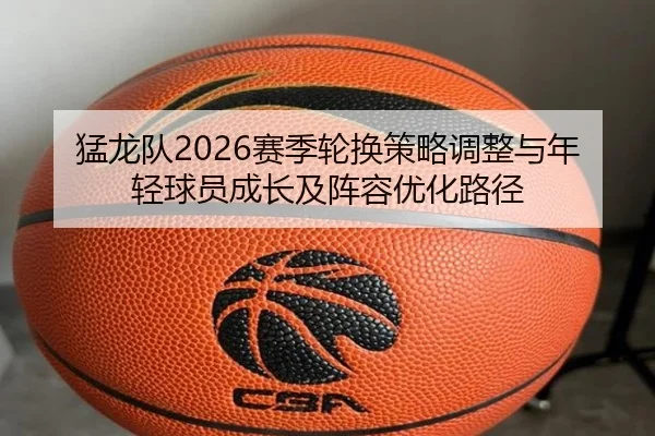猛龙队2026赛季轮换策略调整与年轻球员成长及阵容优化路径